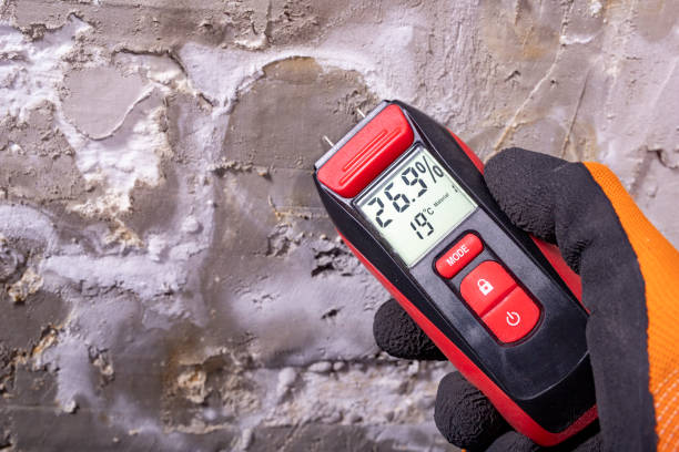 Crawl Space Mold Removal in Madison, GA
