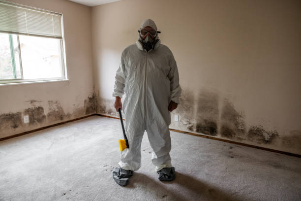 Professional Mold Removal in Madison, GA